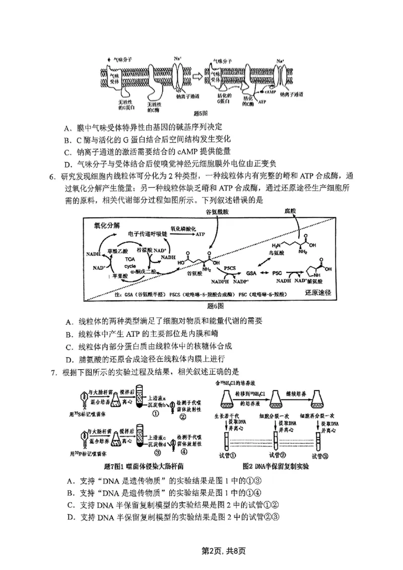 2025届重庆主城五区一诊生物_2025年1月_250116重庆主城五区一诊暨九龙坡高2025届学业质量调研抽测（全科）_2025届重庆主城五区一诊生物