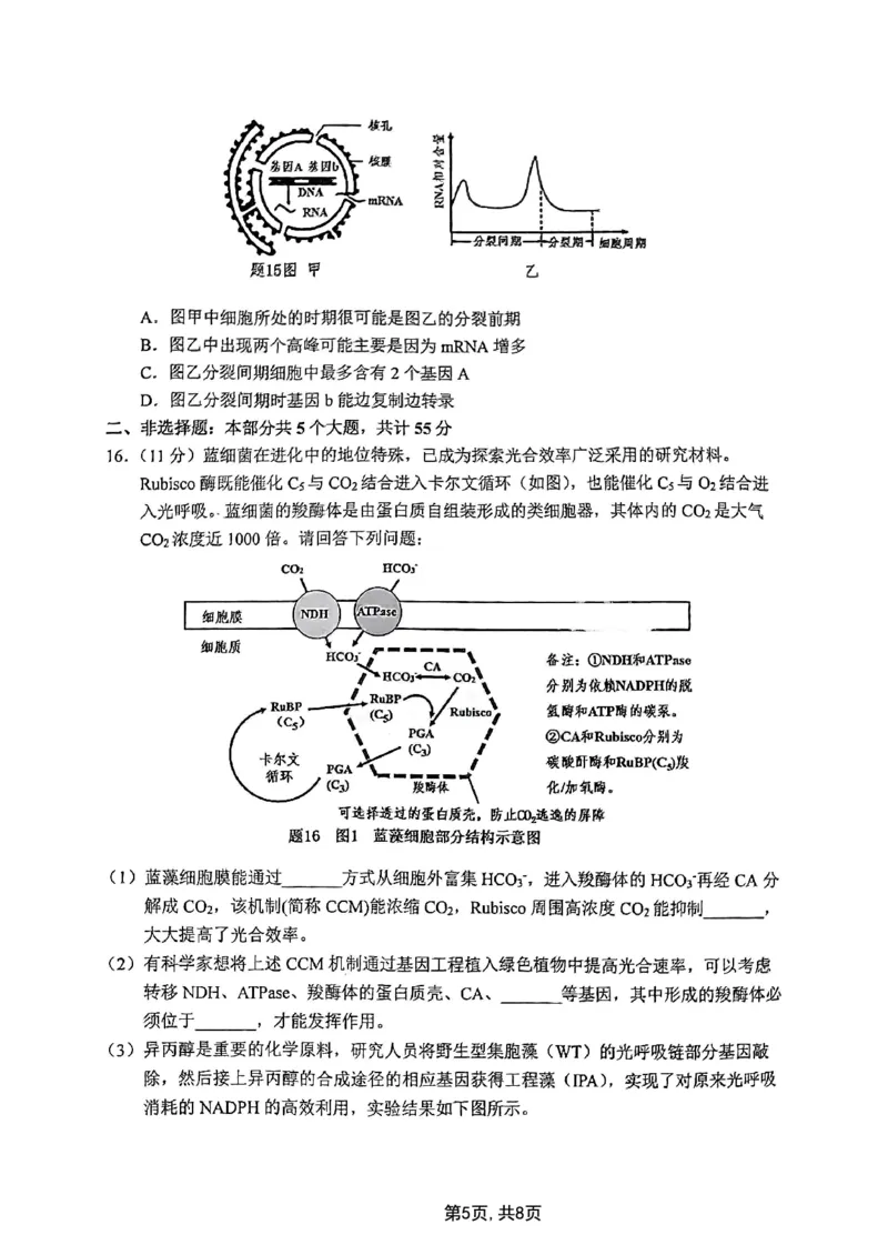 2025届重庆主城五区一诊生物_2025年1月_250116重庆主城五区一诊暨九龙坡高2025届学业质量调研抽测（全科）_2025届重庆主城五区一诊生物