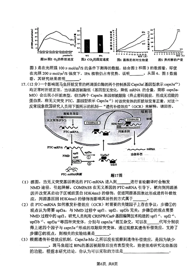 2025届重庆主城五区一诊生物_2025年1月_250116重庆主城五区一诊暨九龙坡高2025届学业质量调研抽测（全科）_2025届重庆主城五区一诊生物