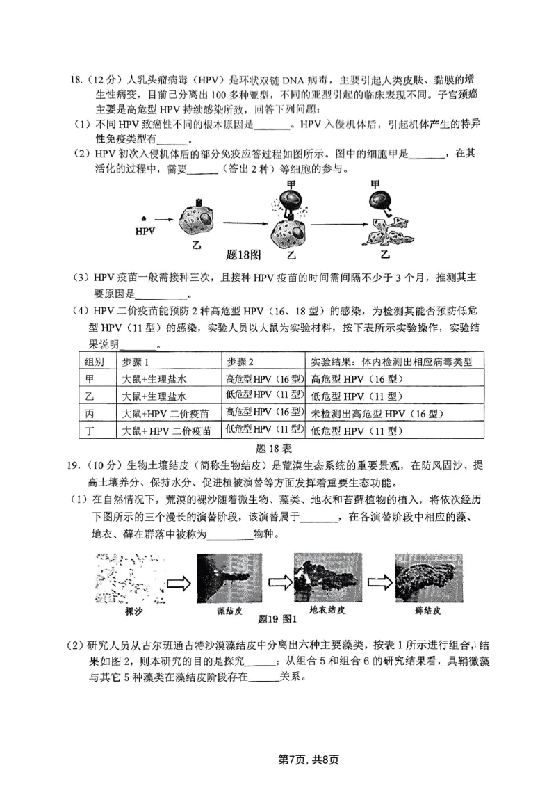 2025届重庆主城五区一诊生物_2025年1月_250116重庆主城五区一诊暨九龙坡高2025届学业质量调研抽测（全科）_2025届重庆主城五区一诊生物