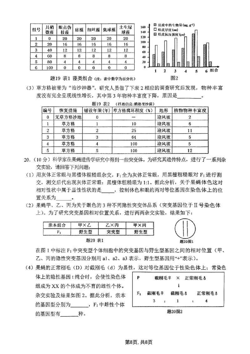 2025届重庆主城五区一诊生物_2025年1月_250116重庆主城五区一诊暨九龙坡高2025届学业质量调研抽测（全科）_2025届重庆主城五区一诊生物