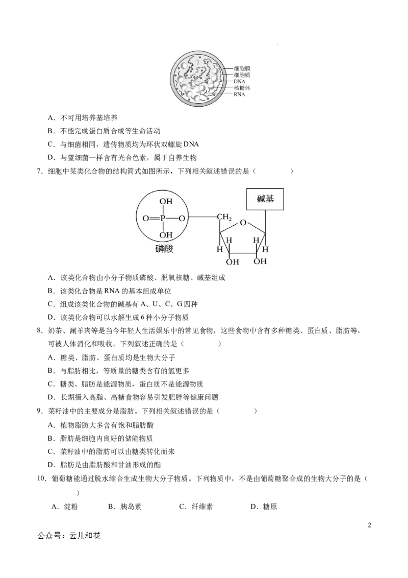 高一生物第一次月考卷（考试版A4）测试范围：1~2章（北京专用）_1多考区联考试卷_0924黄金卷：2024-2025学年高一上学期第一次月考9科word解析版含答题卡（北京专用）