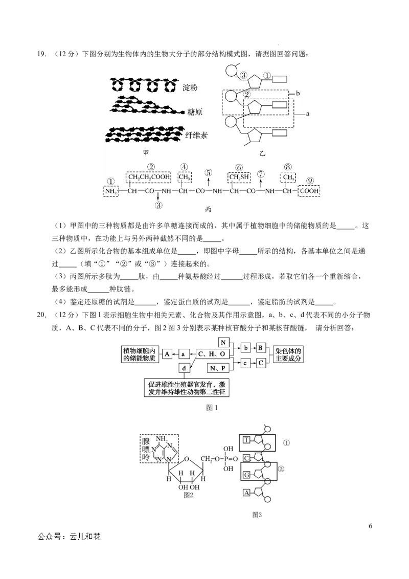 高一生物第一次月考卷（考试版A4）测试范围：1~2章（北京专用）_1多考区联考试卷_0924黄金卷：2024-2025学年高一上学期第一次月考9科word解析版含答题卡（北京专用）