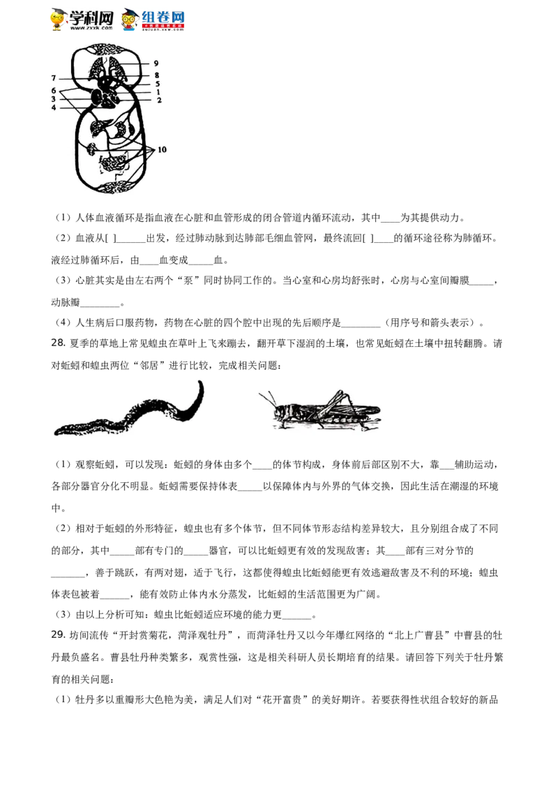 精品解析：山东省聊城市2021年中考生物试题（原卷版）_中考真题_8.生物中考真题2015-2024年_地区卷_山东省_山东聊城生物10-22