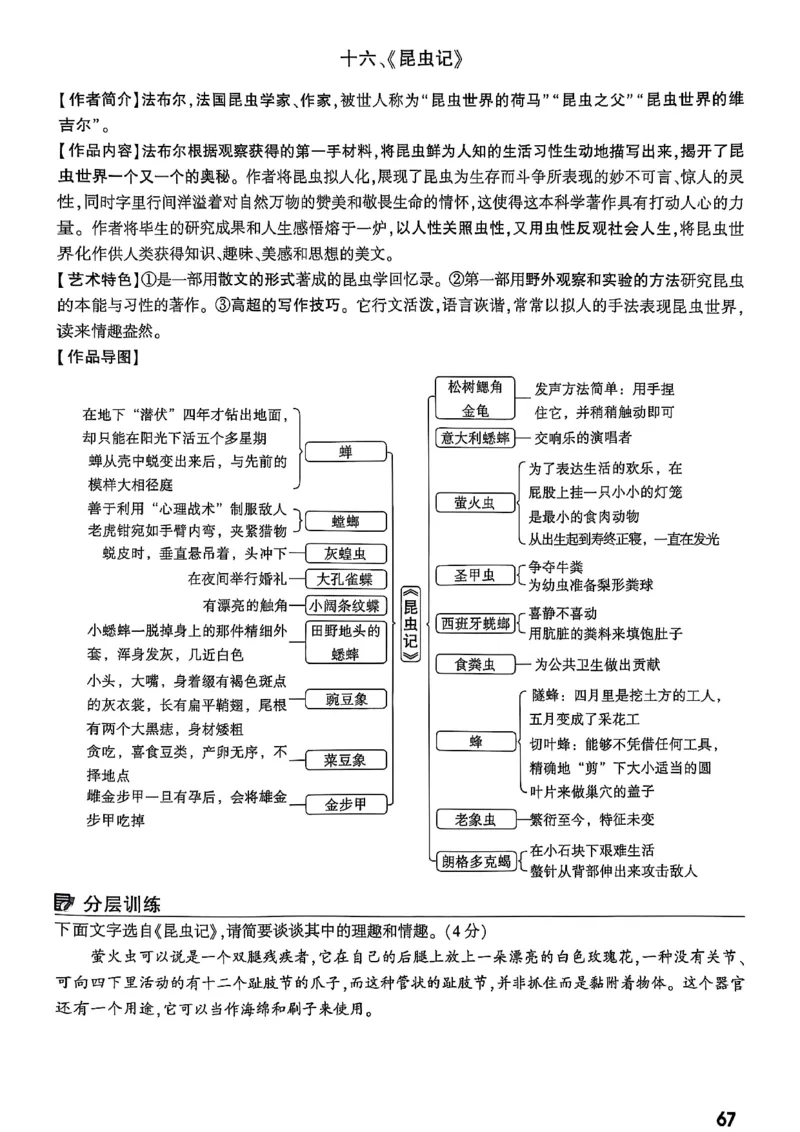 2026辽宁万唯试题研究（语文-1精讲本）_26《万唯中考试题研究》辽宁_2026《辽宁万唯试题研究》语文