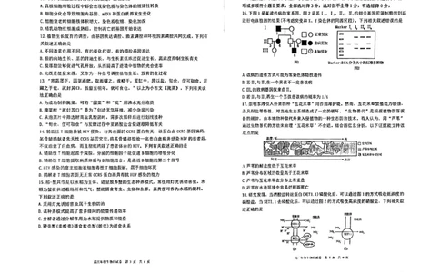 辽宁鞍山一中高三四模五校联考生物试卷_2024届辽宁省五校联考（大连市二十四中学、大连八中、辽宁省实验中学、鞍山一中、东北育才学校）2024届高三上学期期末考试