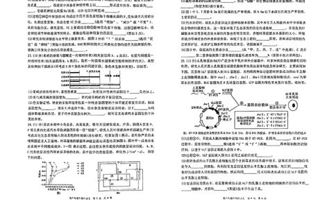 辽宁鞍山一中高三四模五校联考生物试卷_2024届辽宁省五校联考（大连市二十四中学、大连八中、辽宁省实验中学、鞍山一中、东北育才学校）2024届高三上学期期末考试