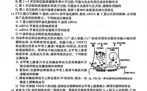 南宁高三二模南宁市2025届普通高中毕业班第二次适应性测试生物试卷_2025年3月_250321广西省南宁市2025届普通高中毕业班第二次适应性测试（全科）