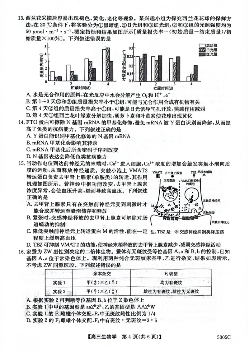 南宁高三二模南宁市2025届普通高中毕业班第二次适应性测试生物试卷_2025年3月_250321广西省南宁市2025届普通高中毕业班第二次适应性测试（全科）