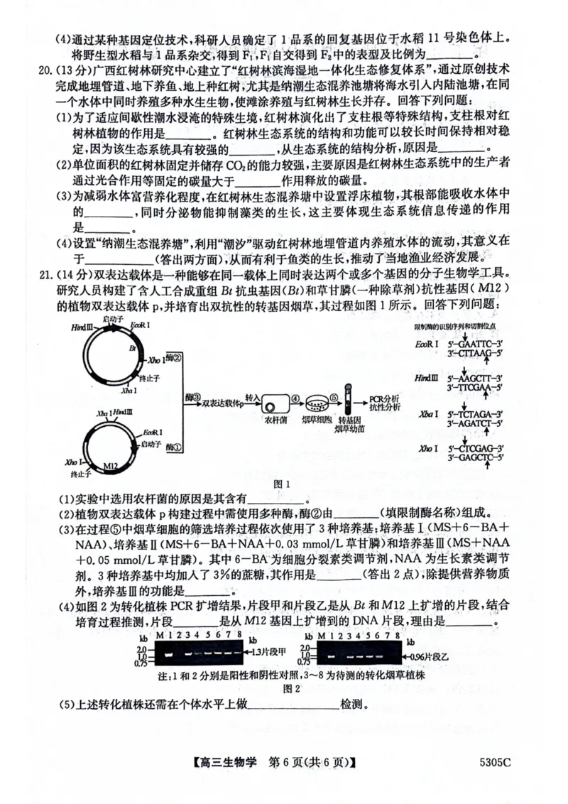 南宁高三二模南宁市2025届普通高中毕业班第二次适应性测试生物试卷_2025年3月_250321广西省南宁市2025届普通高中毕业班第二次适应性测试（全科）