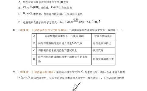 重难点03有关钠、氯、铁、铝的实验探究与计算（原卷版）_1多考区联考试卷_0108好题汇编备战2024-2025学年高一化学上学期期末真题分类汇编（新高考通用）