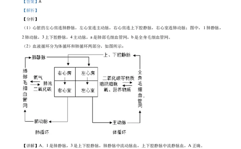 精品解析：四川省遂宁市2020年中考生物试题（解析版）_中考真题_8.生物中考真题2015-2024年_2020生物真题74份_2020年中考真题精品解析生物（四川遂宁卷）精编word版