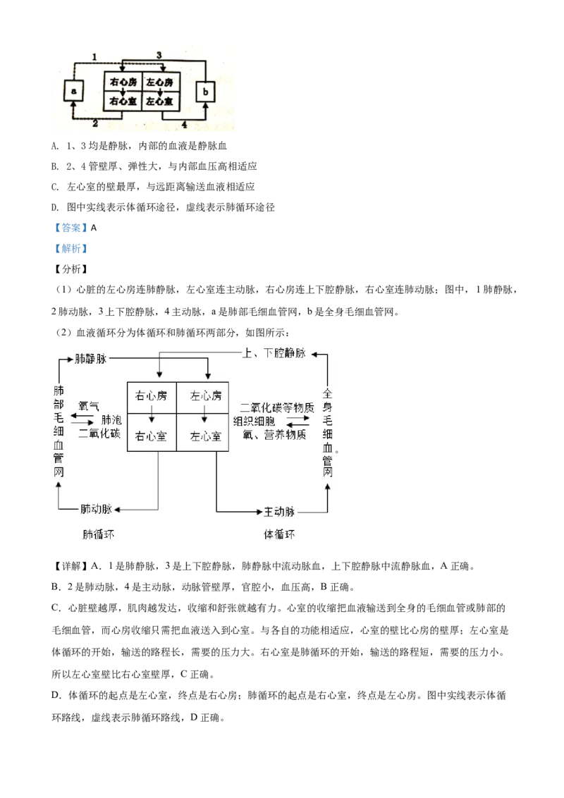 精品解析：四川省遂宁市2020年中考生物试题（解析版）_中考真题_8.生物中考真题2015-2024年_2020生物真题74份_2020年中考真题精品解析生物（四川遂宁卷）精编word版