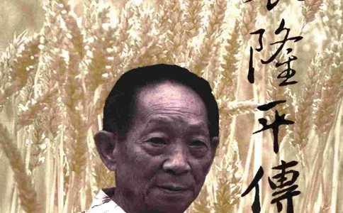 袁隆平传祁淑英_绝版书_天涯系列_天涯神贴高阶合集_稀缺内容_领导人物传记大全
