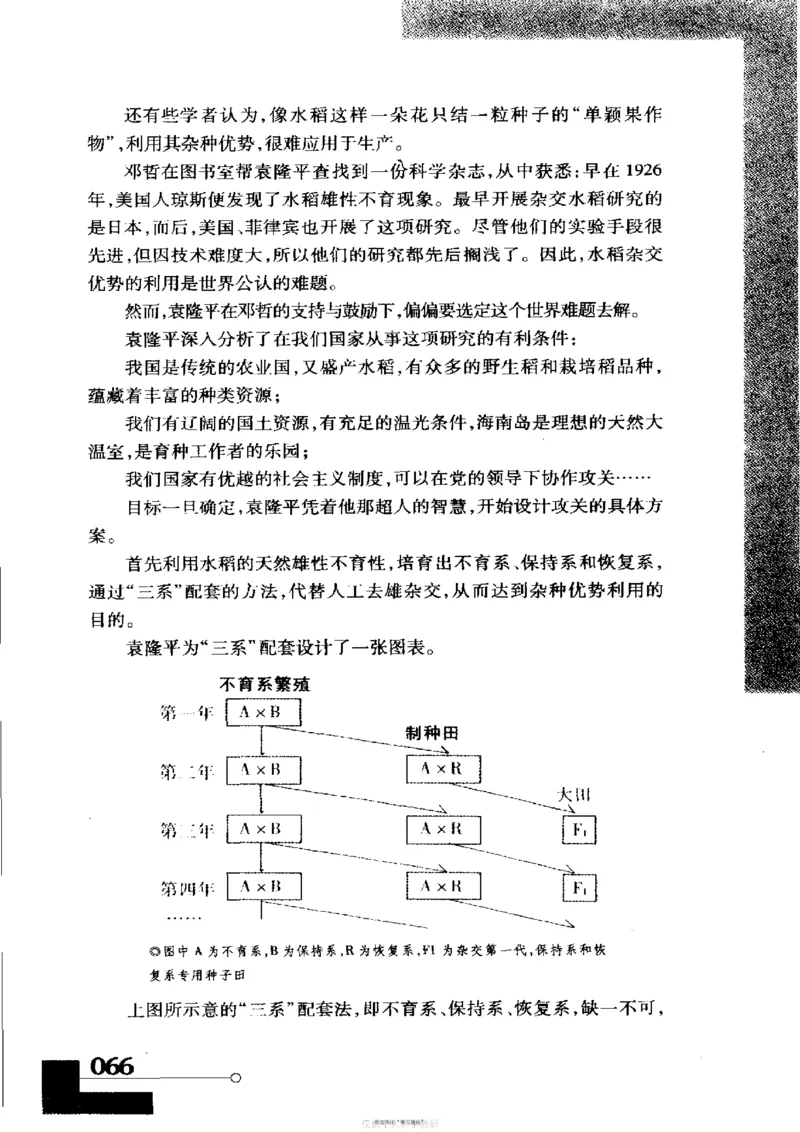 袁隆平传祁淑英_绝版书_天涯系列_天涯神贴高阶合集_稀缺内容_领导人物传记大全
