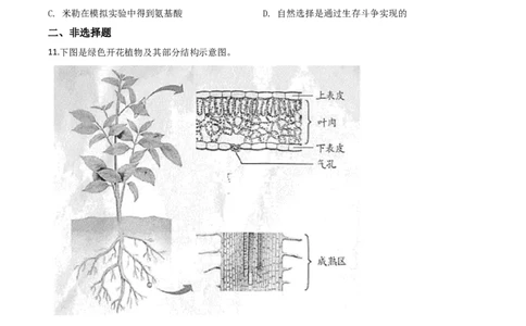 精品解析：安徽省2020年中考试题（原卷版）_中考真题_8.生物中考真题2015-2024年_2020生物真题74份_2020年中考真题精品解析生物（安徽卷）精编word版