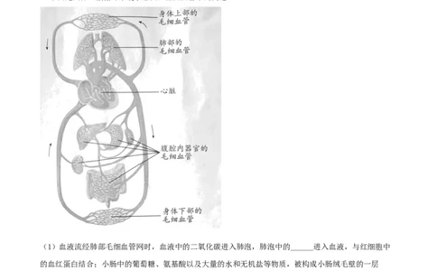 精品解析：安徽省2020年中考试题（原卷版）_中考真题_8.生物中考真题2015-2024年_2020生物真题74份_2020年中考真题精品解析生物（安徽卷）精编word版