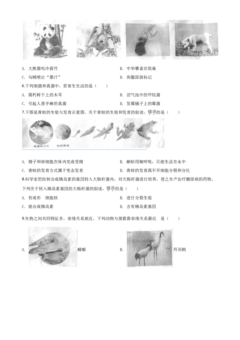 精品解析：安徽省2020年中考试题（原卷版）_中考真题_8.生物中考真题2015-2024年_2020生物真题74份_2020年中考真题精品解析生物（安徽卷）精编word版
