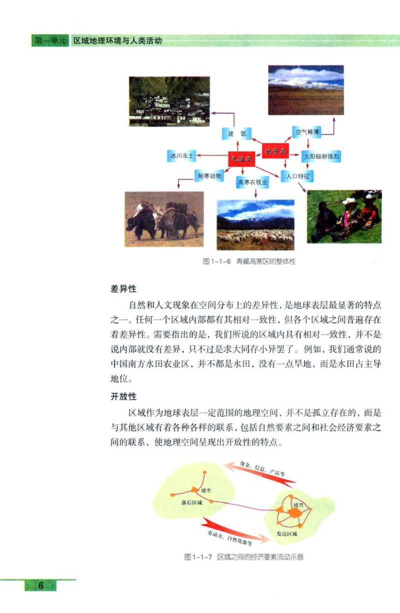 鲁教版高中地理必修3_4-教培资料-26年最新资料-同步更新_初中高中教资_03科三专项（进去保存报考的学科即可）_02科三专项（笔记真题思维导图教学设计版本二）