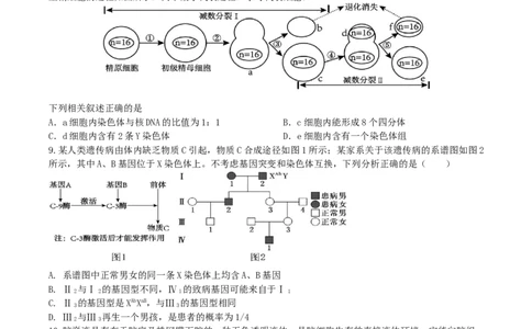 2025届辽宁省本溪市高三下学期开学适应性考试生物试题_2025年2月_250207辽宁省本溪高级中学2024-2025高三下学期开学考试卷+答案