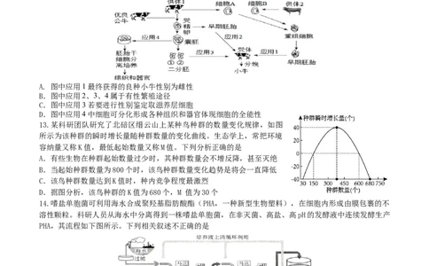2025届辽宁省本溪市高三下学期开学适应性考试生物试题_2025年2月_250207辽宁省本溪高级中学2024-2025高三下学期开学考试卷+答案