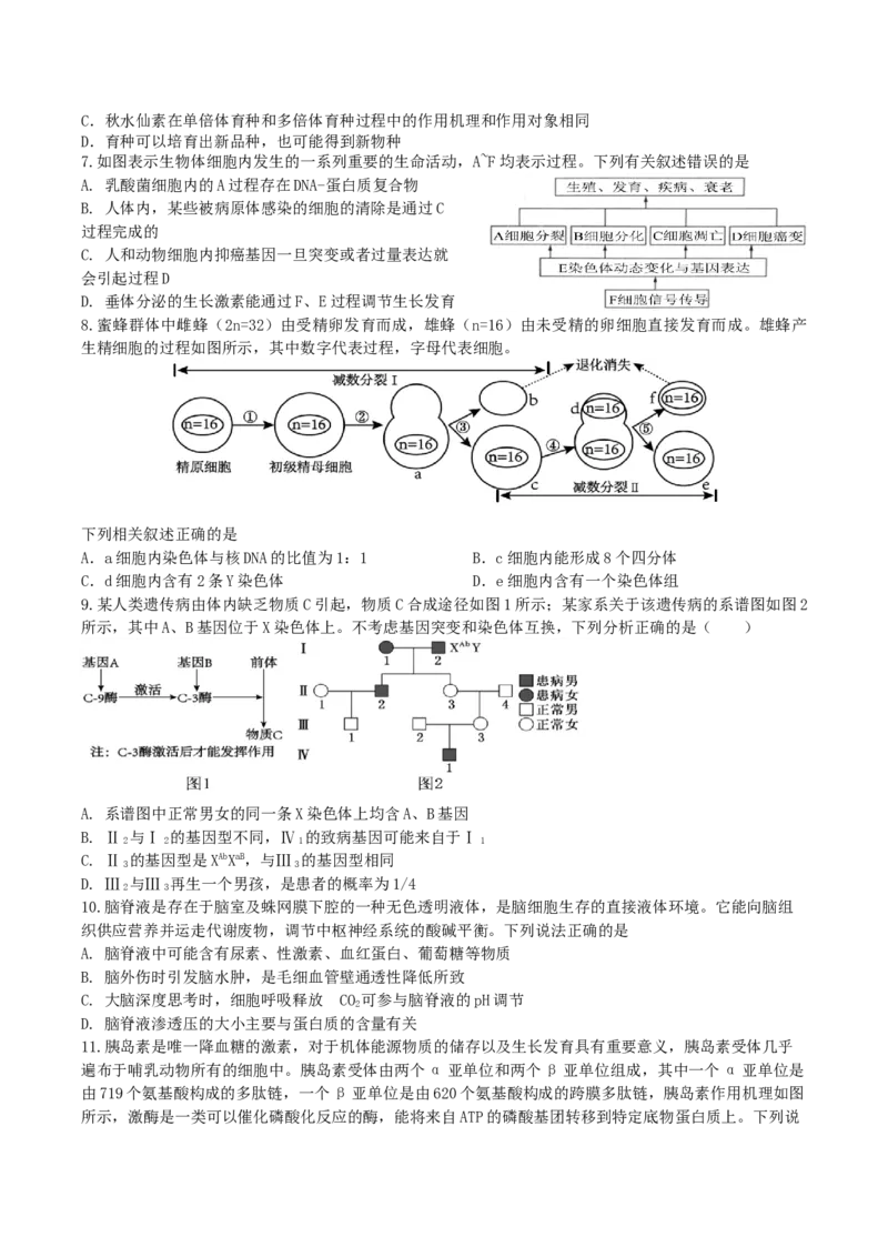 2025届辽宁省本溪市高三下学期开学适应性考试生物试题_2025年2月_250207辽宁省本溪高级中学2024-2025高三下学期开学考试卷+答案