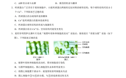 2025北京石景山高三一模生物试题及答案_2025年4月_250407北京市石景山2025节高三一模（全科）