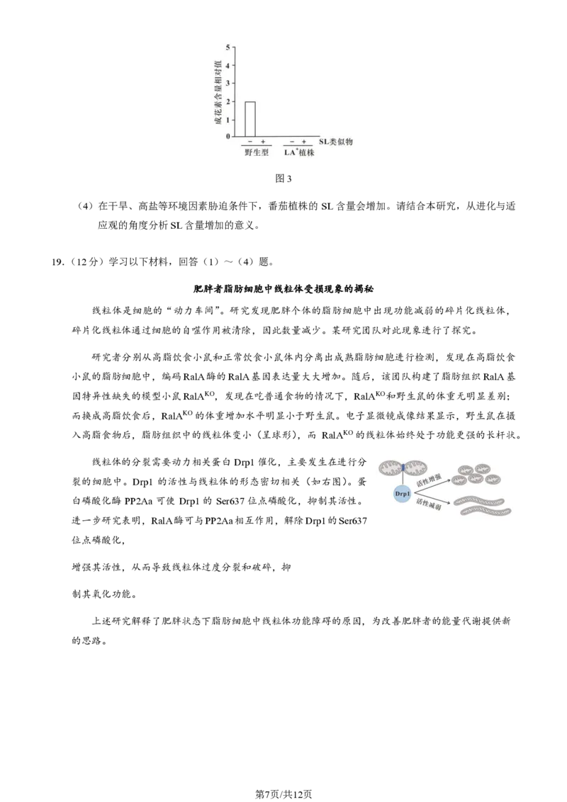 2025北京石景山高三一模生物试题及答案_2025年4月_250407北京市石景山2025节高三一模（全科）