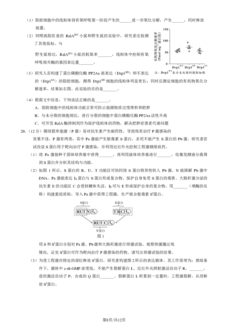 2025北京石景山高三一模生物试题及答案_2025年4月_250407北京市石景山2025节高三一模（全科）