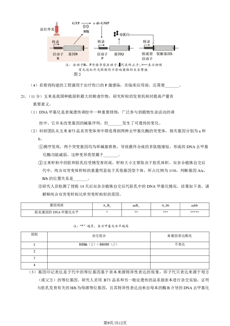2025北京石景山高三一模生物试题及答案_2025年4月_250407北京市石景山2025节高三一模（全科）