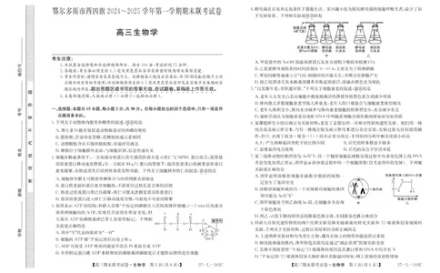 内蒙古鄂尔多斯市西四旗2024-2025学年高三上学期期末联考生物试题_2025年1月_250113内蒙古鄂尔多斯市西四旗2025届高三上学期期末联考（全科）