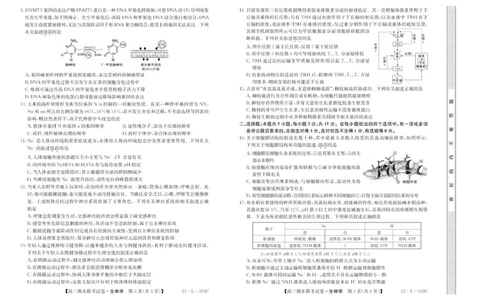 内蒙古鄂尔多斯市西四旗2024-2025学年高三上学期期末联考生物试题_2025年1月_250113内蒙古鄂尔多斯市西四旗2025届高三上学期期末联考（全科）
