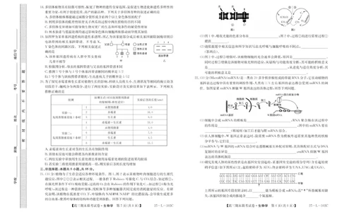 内蒙古鄂尔多斯市西四旗2024-2025学年高三上学期期末联考生物试题_2025年1月_250113内蒙古鄂尔多斯市西四旗2025届高三上学期期末联考（全科）