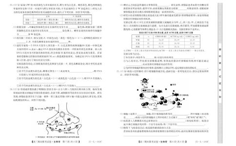 内蒙古鄂尔多斯市西四旗2024-2025学年高三上学期期末联考生物试题_2025年1月_250113内蒙古鄂尔多斯市西四旗2025届高三上学期期末联考（全科）
