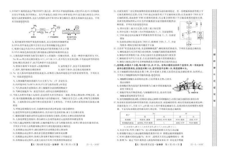 内蒙古鄂尔多斯市西四旗2024-2025学年高三上学期期末联考生物试题_2025年1月_250113内蒙古鄂尔多斯市西四旗2025届高三上学期期末联考（全科）