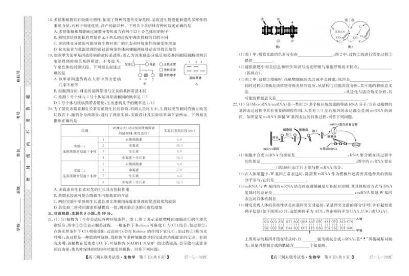 内蒙古鄂尔多斯市西四旗2024-2025学年高三上学期期末联考生物试题_2025年1月_250113内蒙古鄂尔多斯市西四旗2025届高三上学期期末联考（全科）