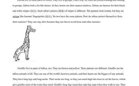辽宁省沈阳市2020年中考英语试题（原卷版）_中考真题_3.英语中考真题2015-2024年_地区卷_辽宁省_辽宁英语_辽宁英语_沈阳英语08-22