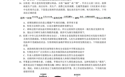 云南省玉溪第一中学2025-2026学年高三上学期适应性测试（一）生物_2025年8月_250816云南省玉溪第一中学2025-2026学年高三上学期适应性测试（一）（全科）