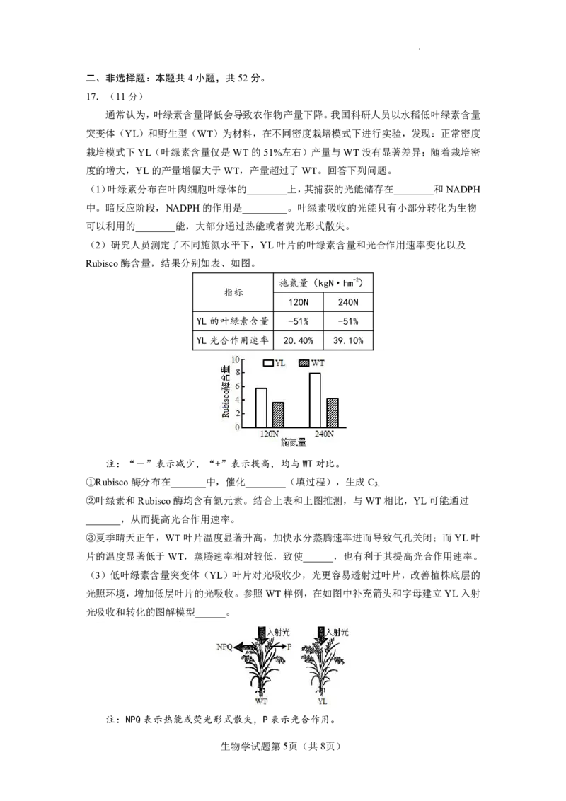 云南省玉溪第一中学2025-2026学年高三上学期适应性测试（一）生物_2025年8月_250816云南省玉溪第一中学2025-2026学年高三上学期适应性测试（一）（全科）
