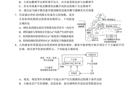 N生物试卷：全国名校联盟2026届高三开学模拟考_2025年8月_250831内蒙古-全国名校联盟2026届高三联合开学摸底考试（全科）_N电子试卷：全国名校联盟2026届高三开学模拟考