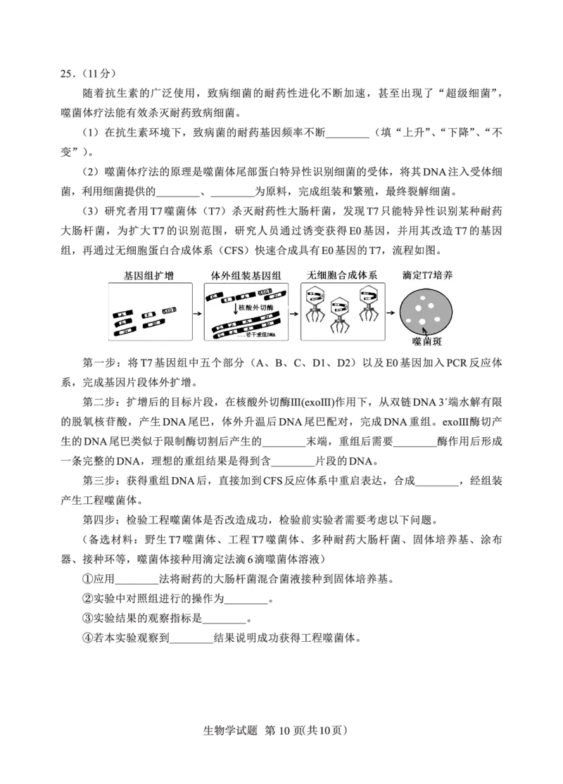 N生物试卷：全国名校联盟2026届高三开学模拟考_2025年8月_250831内蒙古-全国名校联盟2026届高三联合开学摸底考试（全科）_N电子试卷：全国名校联盟2026届高三开学模拟考