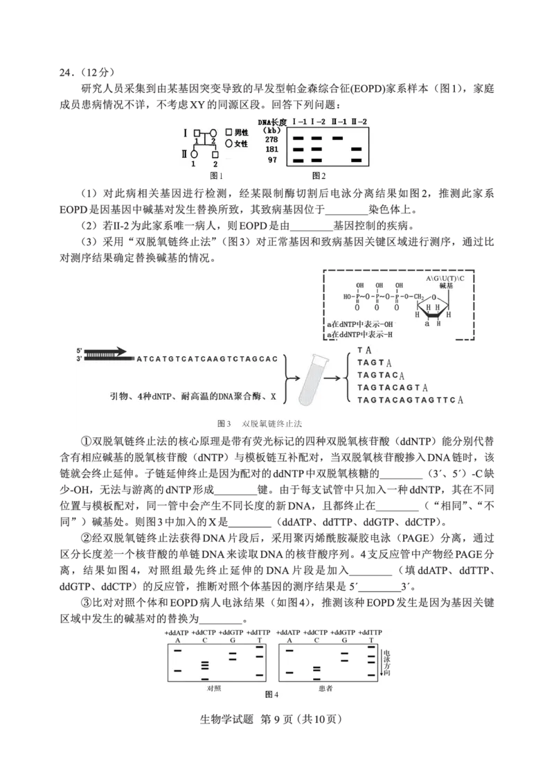 N生物试卷：全国名校联盟2026届高三开学模拟考_2025年8月_250831内蒙古-全国名校联盟2026届高三联合开学摸底考试（全科）_N电子试卷：全国名校联盟2026届高三开学模拟考