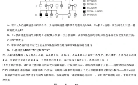2025届江西省炎德英才萍乡实验大联考高三模拟考试（一）生物试题+答案_2025年3月_250315江西省2025届炎德英才萍乡实验大联考高三模拟考试（一）（全科）