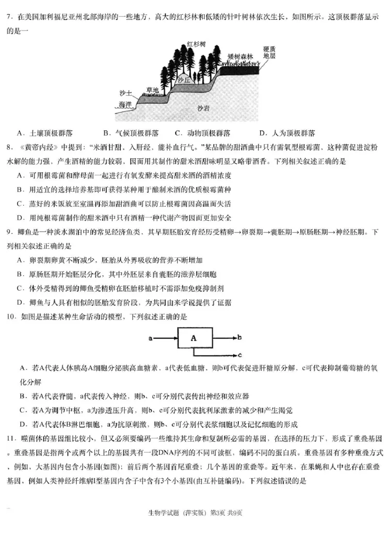 2025届江西省炎德英才萍乡实验大联考高三模拟考试（一）生物试题+答案_2025年3月_250315江西省2025届炎德英才萍乡实验大联考高三模拟考试（一）（全科）