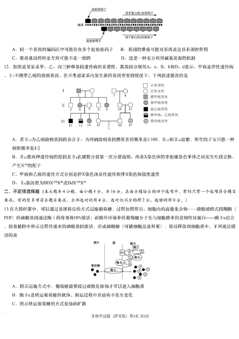 2025届江西省炎德英才萍乡实验大联考高三模拟考试（一）生物试题+答案_2025年3月_250315江西省2025届炎德英才萍乡实验大联考高三模拟考试（一）（全科）