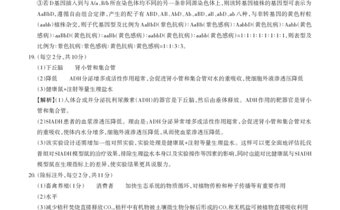 2025年山西高考省三模（押题卷）生物答案与详解_2025年5月_2505222025年山西高考省三模（思而行押题卷）（全科）_2025年山西高考省三模（押题卷）生物试题