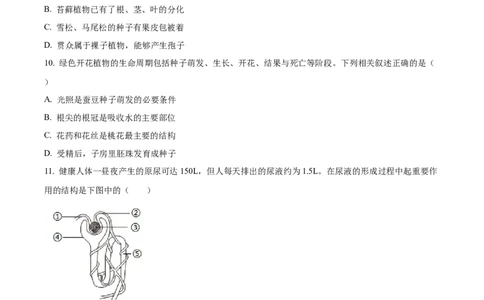 精品解析：2024年江苏省连云港市中考生物和地理真题　-初中生物学（原卷版）_中考真题_8.生物中考真题2015-2024年_2024年中考生物真题