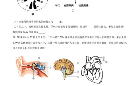 精品解析：2024年江苏省连云港市中考生物和地理真题　-初中生物学（原卷版）_中考真题_8.生物中考真题2015-2024年_2024年中考生物真题