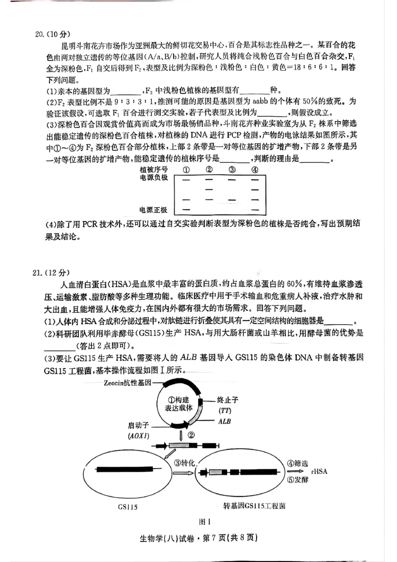 2025届云南名校月考（八）生物_2025年5月_250511云南省名校联盟2025届高三月考（八）（全）