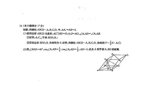 九师联盟2025届高三3月质量检测数学_2025年3月_250329九师联盟2025届高三3月质量检测（全科）_九师联盟2025届高三3月质量检测数学